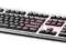 USB CCID SmartCard Keyboard         BV813AA