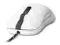 MYSZ STEELSERIES KANA WHITE