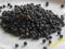 pieprz czarny, ziarno, wiaderko 10 kg, Wietnam