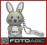 Emtec PenDrive 4GB Animals KRÓLIK  - SKLEP - ŁÓDŹ
