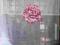 KAJA: (920) Zakard 300 cm szerokosci, bialy/ roza