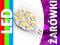 ZAROWKA DIODOWA G4 12 LED SMD 12V 21 24 BEZ DOPLAT