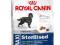 ROYAL CANIN MAXI STERILISED 12kg