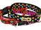 OBROŻA 4PAWZ 25mm, 50-70cm DUŻO WZORÓW! ROZ. L