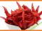 # Przyprawa CHILI W STRĄKU (30g) Przyprawy w 24h!!