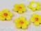 KWIATKI Z MASY ŻÓŁTE- 5 SZT. ŚR.2,2CM ELBLĄG