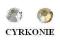 Cyrkonie 2,6mm Szlifowane na wzór Swarowski *50szt
