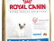 ROYAL CANIN FRENCH BULLDOG JUNIOR -4kg