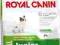 ROYAL CANIN JUNIOR X-SMALL 1,5KG
