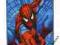 DYWANIK SPIDERMAN 45 x 70 CM DYWAN