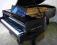 Profesjonalny fortepian FORSTER 215cm Idealny