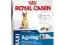 ROYAL CANIN MAXI AGEING 8+ (MAXI MATURE26) -2x15KG