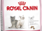 ROYAL CANIN FELINE KITTEN 36 - 2x10KG