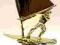 Puchar GRAWER Gratis statuetka windsurfing sport