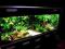 AKWARIUM 510 L 170/60/50 KOMPLETNY ZESTAW,MONTAŻ