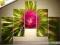 * OBRAZ 75x55 - KWIAT - OBRAZY MEGA  HIT ARTWENA