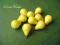OWOCE DO DEKORACJI-MALUTKIE GRUSZKI/10 szt/żółte