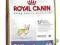 ROYAL CANIN CHIHUAHUA Junior 2 KG ORYGINAŁ! Kurier