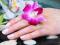 MANICURE SPA ZABIEG POZNAŃ PROMOCJA WIOSENNA!