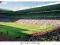 Celtic Glasgow - Stadion - plakat 91,5x61 cm