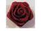 MEGA DUŻE  atłasowe róże- bordowe    MM-11
