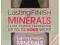 RIMMEL PUDER MINERALNY LASTING FINISH + PĘDZEL