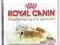 ROYAL CANIN STARTER MINI 2x10kg+POJEMNIK+6 GRATISY