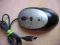 MYSZ LOGITECH Myszka USB