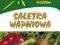 SALETRA WAPNIOWA 5kg INTENSYWNY WZROST ROŚLIN