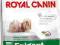 ROYAL CANIN MINI EXIGENT 500+300gr - PSY WYBREDNE