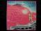PINK CADILLAC NATALIE COLE I WANNA BE THAT WOMAN