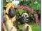 Baranek Shaun 6: Zakochany Shaun _ _ _ _ _ (DVD)