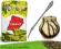 Piękny Zestaw Yerba Mate 500g BOMBILLA NIERDZEWNA