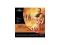 MUSICALE - MISS SAIGON MUSICALE - MISS SAIGON