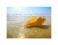 Seashell sand and ocean - reprodukcja 60x80 cm
