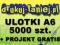 ULOTKI A6 5000szt.+PROFESJONALNY PROJEKT GRATIS