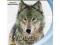 IMAX Wolves   [Blu-ray]