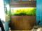 AKWARIUM 160x40x55