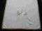 Serwetka Haftowana
