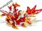 NAJWIĘKSZY BAKUGAN DRAGONOID COLOSSUS+GRATIS!!