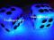 KOSTKI - MASKOTKA - BLUE  - swiecace EXTRA -12V