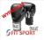 EVERLAST PRO RĘKAWICE BOKSERSKIE 12 OZ - 2012