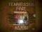 TENNESSEE FIVE _ AGAIN _ 1975 _ STEREO MOONDISC