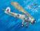 Fairey Swordfish Mk.II (TRUMPETER 03208) 1:32
