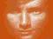 Ed Sheeran - Plus LP(NOWE) #######################