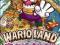 WARIO LAND THE SHAKE DIMENSION / Wii / G4Y K-ce