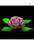 Róża z listkami w kolorze fioletowym z cukru M1