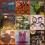 POLISH JAZZ 24LP MINT