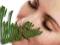 Zielona Glinka - zdrowa cera dla piękna kobiet
