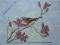 Na gałązce magnolii - haft krzyżykowy